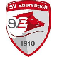 Avatar Bild für SV Ebersbach/Fils