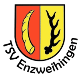 Avatar Bild für TSV Enzweihingen