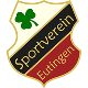 Avatar Bild für SV Eutingen