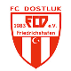 Avatar Bild für FC Dostluk Friedrichshafen