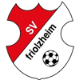 Avatar Bild für SV Friolzheim