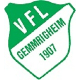 Avatar Bild für VfL Gemmrigheim