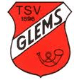 Avatar Bild für TSV Glems