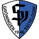 Avatar Bild für SpVgg Gröningen-Satteldorf