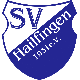 Avatar Bild für SV Hailfingen