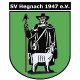 Avatar Bild für SV Hegnach