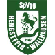 Avatar Bild für Spvgg Hengstfeld-Wallhausen
