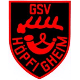 Avatar Bild für GSV Höpfigheim