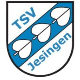 Avatar Bild für TSV Jesingen