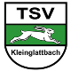 Avatar Bild für TSV Kleinglattbach
