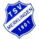 Avatar Bild für TSV Merklingen