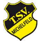Avatar Bild für TSV Michelfeld