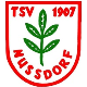 Avatar Bild für TSV Nussdorf