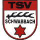 Avatar Bild für TSV Schwabbach