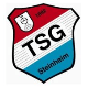 Avatar Bild für TSG Steinheim