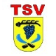 Avatar Bild für TSV Strümpfelbach