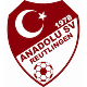 Avatar Bild für Anadolu SV Reutlingen