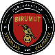 Avatar Bild für FC Birumut Ulm