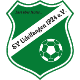 Avatar Bild für SV Udelfangen