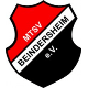 Avatar Bild für MTSV 1909 Beindersheim
