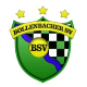 Avatar Bild für Bollenbacher SV