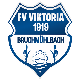 Avatar Bild für FV Vikt.19 Bruchmühlbach