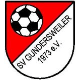 Avatar Bild für SV 1973 Gundersweiler
