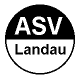 Avatar Bild für ASV 1946 Landau