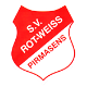 Avatar Bild für SV RW 49 Pirmasens
