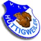 Avatar Bild für VfB Hüttigweiler