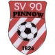Avatar Bild für SV 90 Pinnow