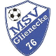 Avatar Bild für MSV Glienecke 76