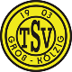 Avatar Bild für TSV 1903 Groß Kölzig