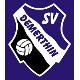 Avatar Bild für SV Demerthin