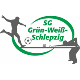 Avatar Bild für SG Grün-Weiß Schlepzig