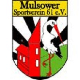 Avatar Bild für Mulsower SV 61