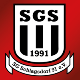 Avatar Bild für SG Schlagsdorf 91
