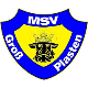 Avatar Bild für MSV Groß Plasten