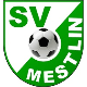 Avatar Bild für SV Grün-Weiß Mestlin