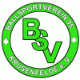 Avatar Bild für BSV 95 Krusenfelde