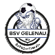 Avatar Bild für BSV Gelenau