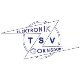 Avatar Bild für TSV Elektronik Gornsdorf