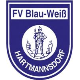 Avatar Bild für FV Blau-Weiß Hartmannsdorf e.V