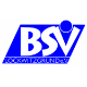Avatar Bild für BSV Lockwitzgrund