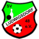 Avatar Bild für SV Ludwigsdorf 48
