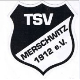 Avatar Bild für TSV Merschwitz 1912