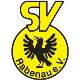 Avatar Bild für SV Rabenau