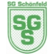 Avatar Bild für SG Schönfeld