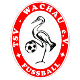 Avatar Bild für TSV Wachau