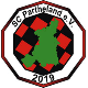 Avatar Bild für SC Partheland